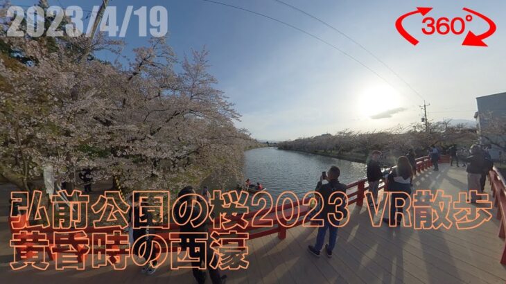 【360度動画】弘前公園の桜2023 VR散歩　黄昏時の西濠