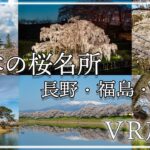 【360°VR旅行】日本の桜名所～長野・福島・宮城編～ 【Insta360oneRS 360°1インチ】