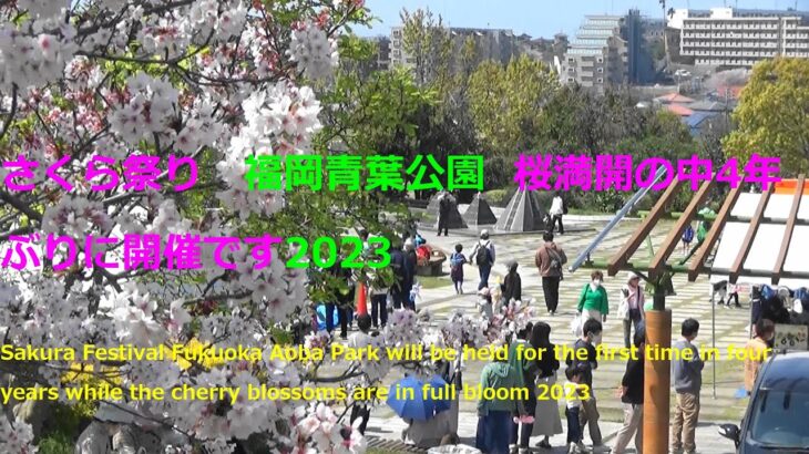 さくら祭り　福岡青葉公園　桜満開の中4年ぶりに開催です2023Sakura Festival, Fukuoka Aoba Park, cherry blossoms in full bloom