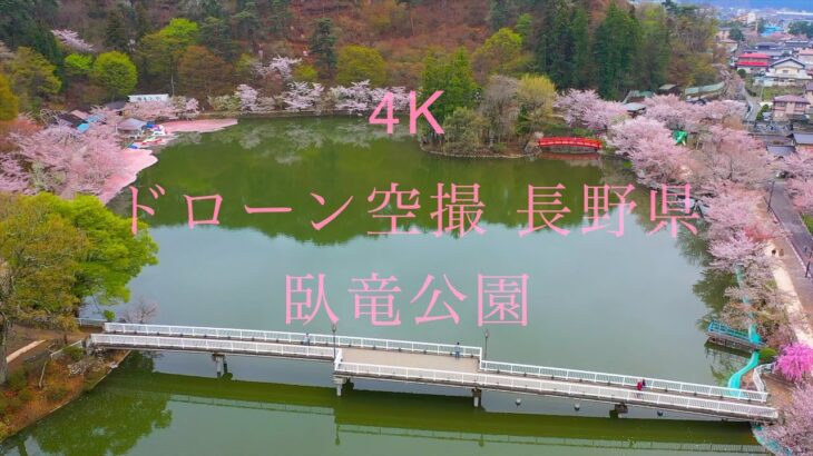 【4K】【空撮】「臥竜公園 桜日和」【ドローン】【長野県】【日本さくら名所100選】（飛行許可承認済）