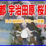 宇治田原  桜満開 ドローン空撮 4K動画 2023.04.01