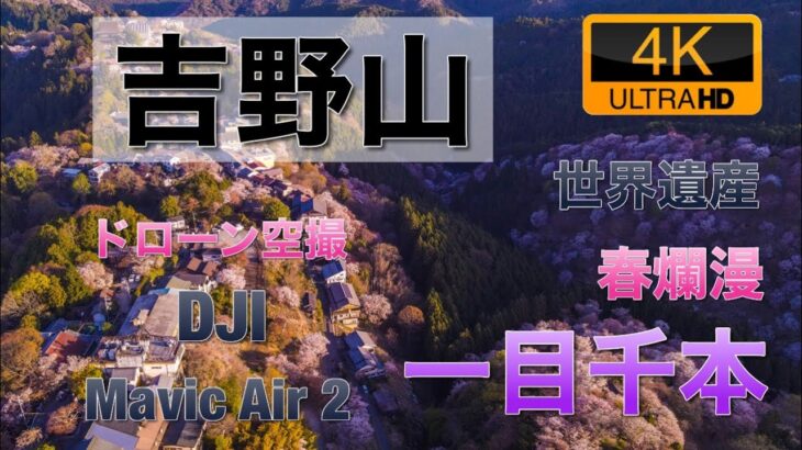 【4K60P】吉野山　春　一目千本桜　奈良　ドローン空撮