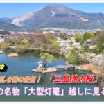 日本の春の原風景！「三島池の桜と大型灯篭」(ドローン空撮・4k)