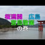 🌀日本の風景 #591 桜満開・広島:宮島散策の巻
