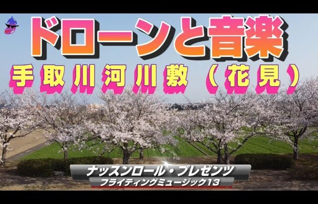 🍆♪ドローンと音楽「手取川河川敷（花見）」♪【BGM】【ルンルン・フリー】【フライティングミュージック13】【作業用】（あさ・はれ）20230401