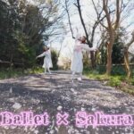 Ballet × Sakura × Drone 🌸