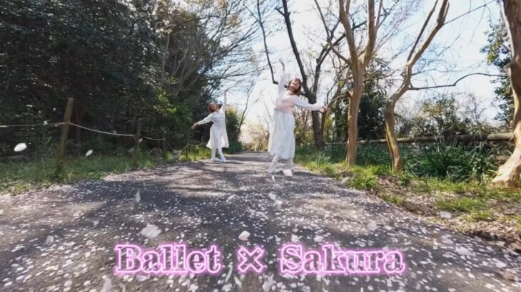 Ballet × Sakura × Drone 🌸