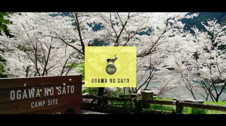【浜松市】小川の里オートキャンプ場　DRONE×桜