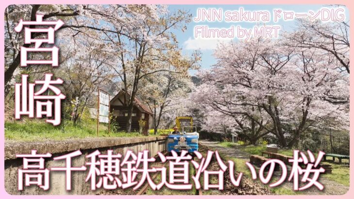 地域の人が守り育てる線路沿いの桜　宮崎県日之影町【JNN sakuraドローンDIG 2023】