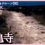 枝垂桜と桜並木　北海道北斗市【JNN sakuraドローンDIG 2023】