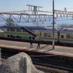 JR根府川駅の下り電車入線風景とおかめ桜