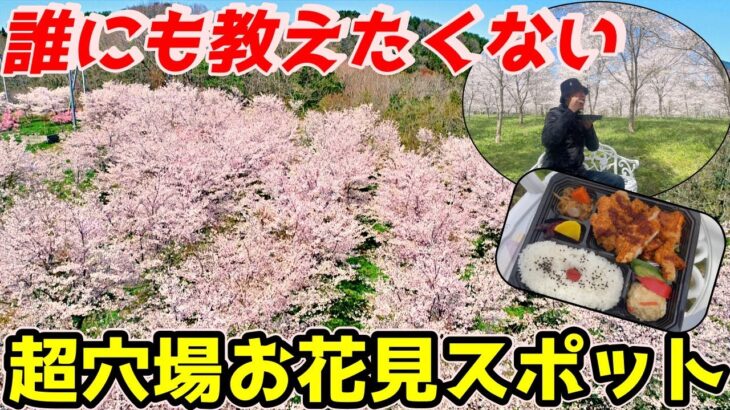 【岡山】本当は教えたくない超穴場お花見スポットで孤独の花見をし、ドローンを飛ばして遊ぶツーリング【NC750Xﾓﾄﾌﾞﾛｸﾞ】