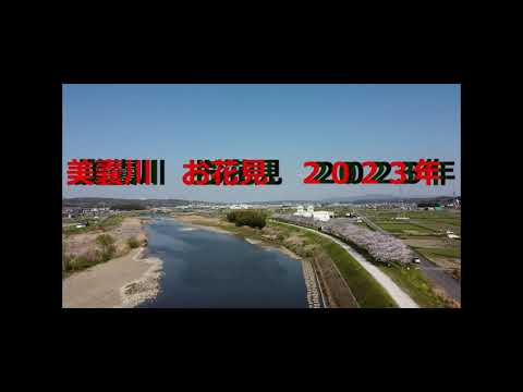 美濃川　in  三木　桜　ドローン空撮　20230331　飛行撮影許可取得済 ‐ Clipchampで作成 1