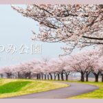 【ドローン空撮】桜づつみ公園