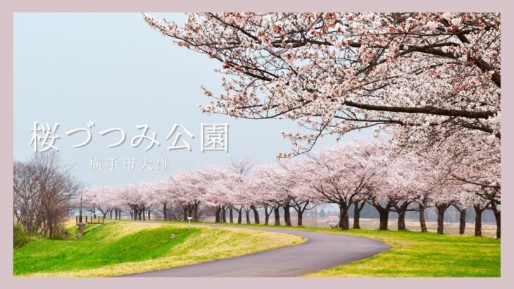 【ドローン空撮】桜づつみ公園