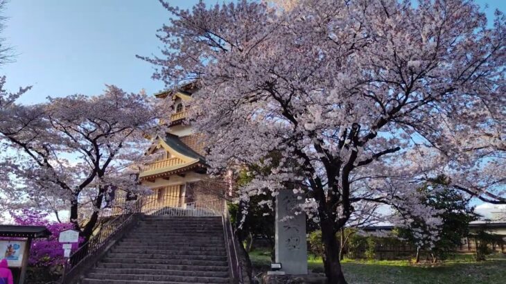 高遠桜だけじゃあない！長野県の桜の名所 – 高島城と美しい桜吹雪