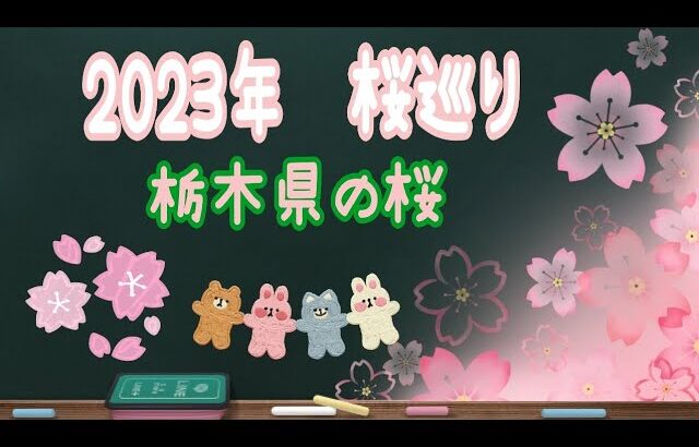 2023年 栃木県の桜の名所、桜スポット 色々