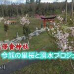 今熊保食神社　2023年5月　桜　ドローン撮影