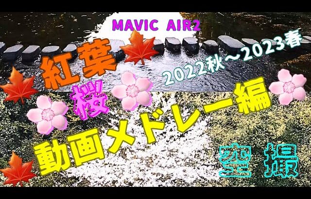 ドローン空撮/Drone Video 紅葉🍁& 桜🌸動画メドレー編をお楽しみください🍁🌸