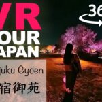 【Insta360 X3】skillism VR/360 – Shinjuku Gyoen, TOKYO / NAKED’s Sakura Night Garden / Cherryblossom
