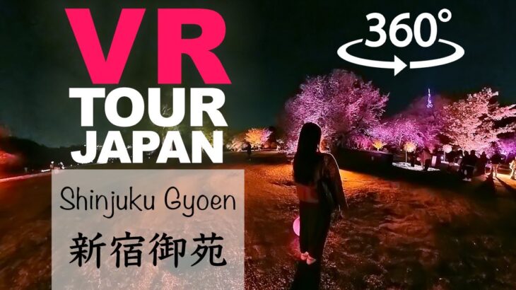 【Insta360 X3】skillism VR/360 – Shinjuku Gyoen, TOKYO / NAKED’s Sakura Night Garden / Cherryblossom