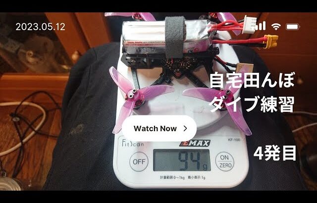 【U99 FPVドローン】桜ダイブ練習 Part4 TinyApe