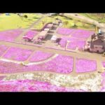 【ドローン/drone】ひがしもこと芝桜公園/OZORA Higashimokoto Shibazakura Park