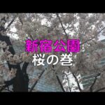 🌀日本の風景 #614 新宿公園・桜の巻