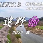【MAVIC 3】2023 遠野桜【ドローン】遠野市　綾織　鱒沢