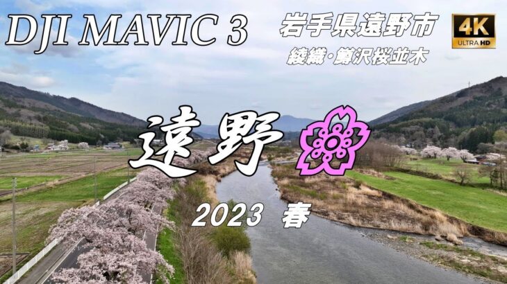 【MAVIC 3】2023 遠野桜【ドローン】遠野市　綾織　鱒沢