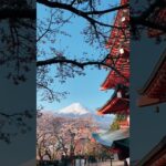 Mt. Fuji 🗻 日本の春は美しい#japan #桜スポット #日本の風景 #富士山 #shorts