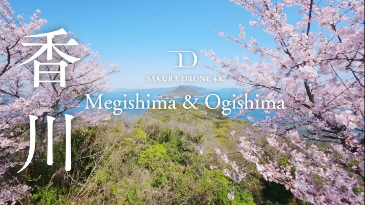 [SAKURA DRONE 4K] 香川県高松市 女木島と男木島の桜｜Sakura in Megishima and Ogishima｜桜ドローンプロジェクト2023 in 瀬戸内海