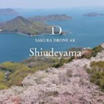 [SAKURA DRONE 4K] 紫雲出山の桜｜Sakura in Mt.Shiude｜桜ドローンプロジェクト2023 in 瀬戸内海