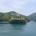 [SAKURA DRONE 4K] 瀬戸内海の桜 ｜Sakura in Seto Island Sea｜桜ドローンプロジェクト2023
