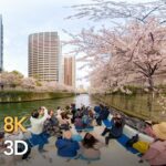 TOKYO VR VIEWS 2023 @Sakura | nippon.com
