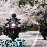 おバイク風景案内４３ 奈良の南と熊野の桜（前）【V-STROM1050XT】