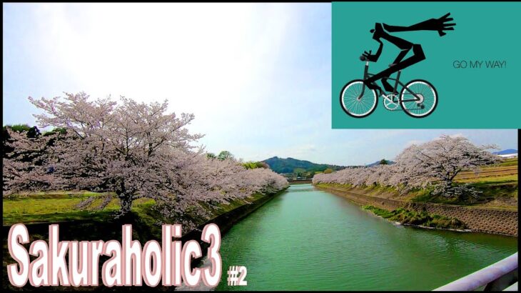 🚴🎵サイクリング風景 🌸桜三昧🌸② [ 脂肪燃焼 ]