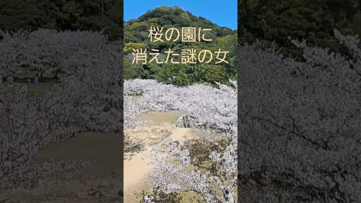 桜の園に消えた謎の女 #桜 #春の景色 #花見 #絶景動画 #風景動画 #事件 #推理小説 #土曜ワイド劇場 #ドラマ音楽 #サスペンス #謎 #ミステリー