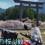 おバイク風景案内４４ 奈良の南と熊野の桜（後）【V-STROM1050XT】