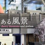 【桜のある風景】東急線多摩川駅をジオラマにする