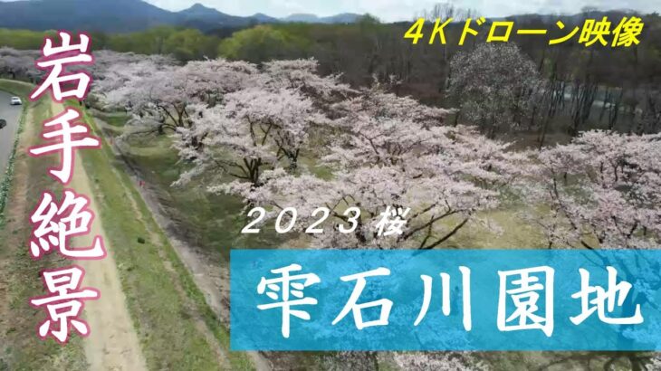 【ドローン空撮】雫石川園地・桜 2023