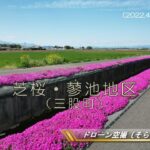 「芝桜～約４kmの花の絨毯～」（三股町蓼池）ドローン空撮2022〔そらぴくと〕