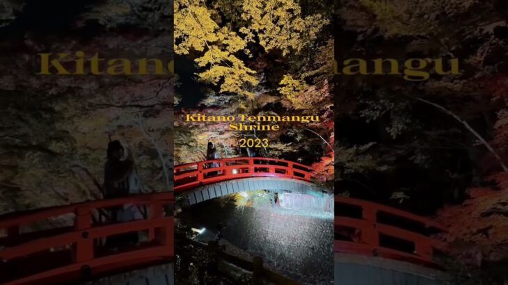 #北野天満宮神社　#日本 #fallseason in #japan #travel #日本の風景
