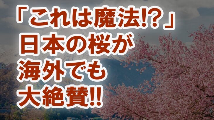 「日本の風景はなんと美しい…」ありえない桜の絶景に外国人驚愕!世界に衝撃を与え感動を呼んだ桜が織りなす光景とは