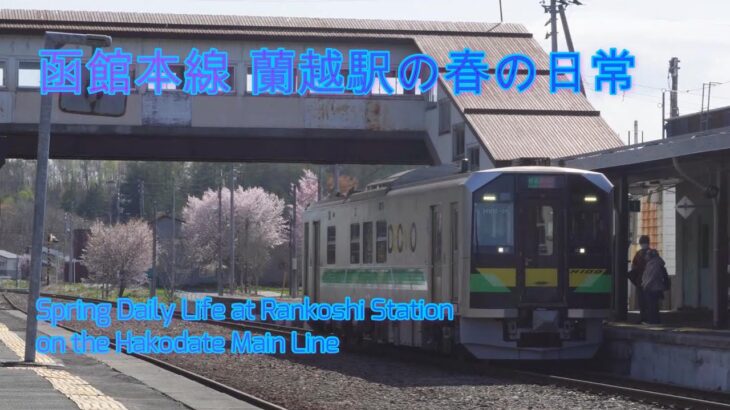 #195  北海道 函館本線 蘭越駅の日常風景　桜の季節  DECMO走る！