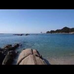 高知県土佐清水市竜串の桜浜海水浴場の風景