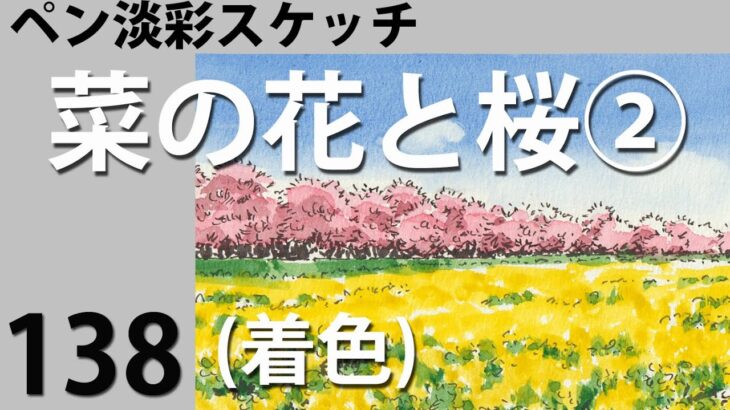 ＃138ペン淡彩スケッチ　菜の花と桜②(着色)