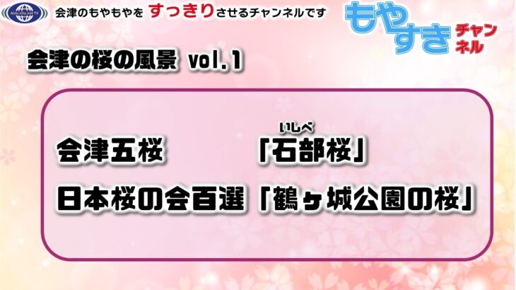 もやすき　第41回　会津の桜の風景vol.1　会津五桜、「石部桜」日本桜の会百選「鶴ヶ城公園の桜」を紹介します。