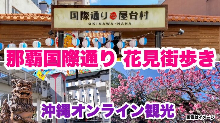 【沖縄オンライン観光】那覇国際通り お花見街歩き「沖縄旅行情報」