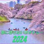 2024年春の名曲ベスト🌸春に聴きたい曲🌸 桜咲く風景とともに春の音楽を聴く